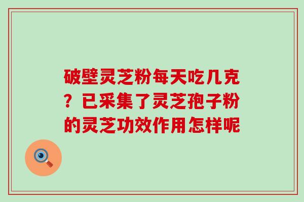 破壁灵芝粉每天吃几克？已采集了灵芝孢子粉的灵芝功效作用怎样呢