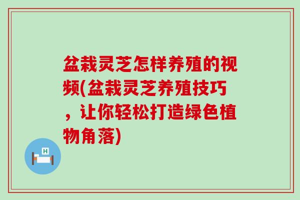 盆栽灵芝怎样养殖的视频(盆栽灵芝养殖技巧，让你轻松打造绿色植物角落)