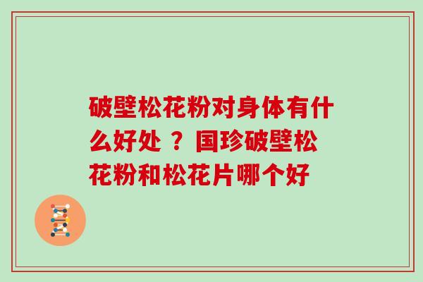 破壁松花粉对身体有什么好处 ？国珍破壁松花粉和松花片哪个好