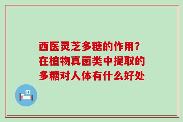 西医灵芝多糖的作用？在植物真菌类中提取的多糖对人体有什么好处