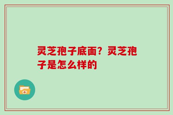 灵芝孢子底面？灵芝孢子是怎么样的