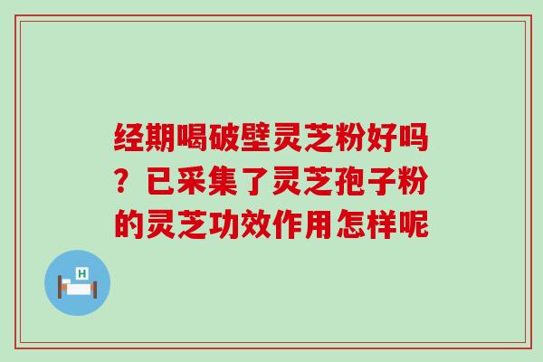 经期喝破壁灵芝粉好吗？已采集了灵芝孢子粉的灵芝功效作用怎样呢