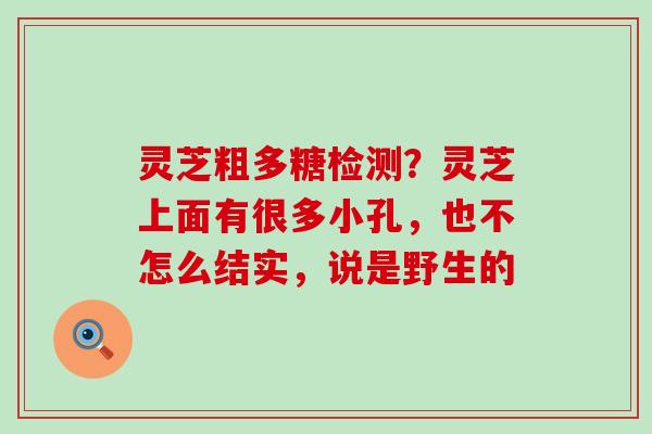 灵芝粗多糖检测？灵芝上面有很多小孔，也不怎么结实，说是野生的