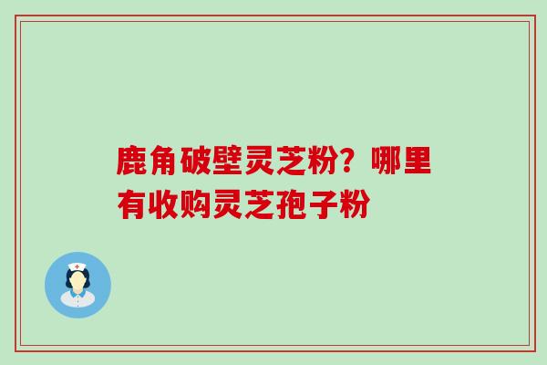 鹿角破壁灵芝粉？哪里有收购灵芝孢子粉