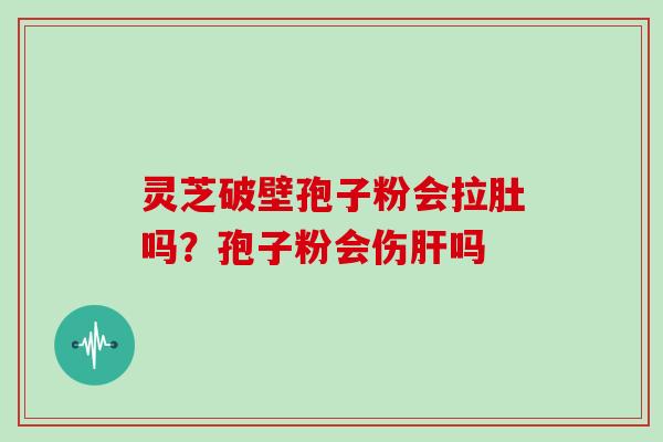 灵芝破壁孢子粉会拉肚吗？孢子粉会伤吗