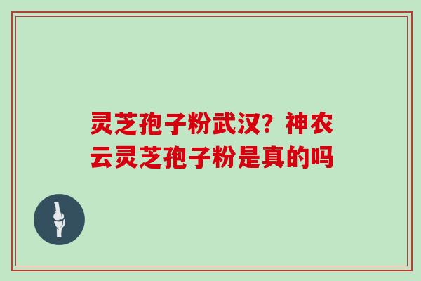 灵芝孢子粉武汉？神农云灵芝孢子粉是真的吗