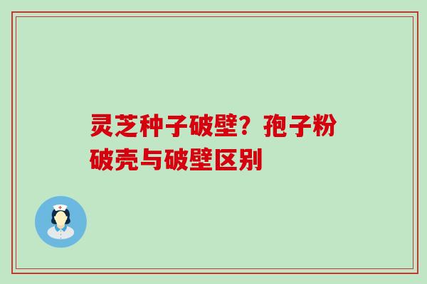 灵芝种子破壁？孢子粉破壳与破壁区别