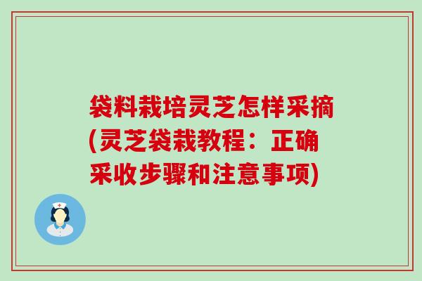 袋料栽培灵芝怎样采摘(灵芝袋栽教程：正确采收步骤和注意事项)