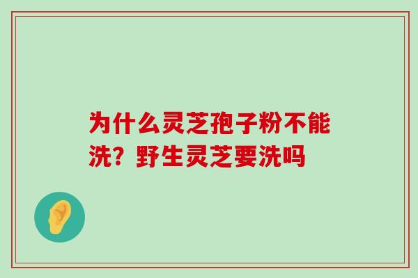 为什么灵芝孢子粉不能洗？野生灵芝要洗吗