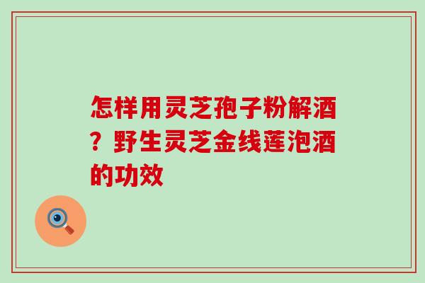 怎样用灵芝孢子粉解酒？野生灵芝金线莲泡酒的功效