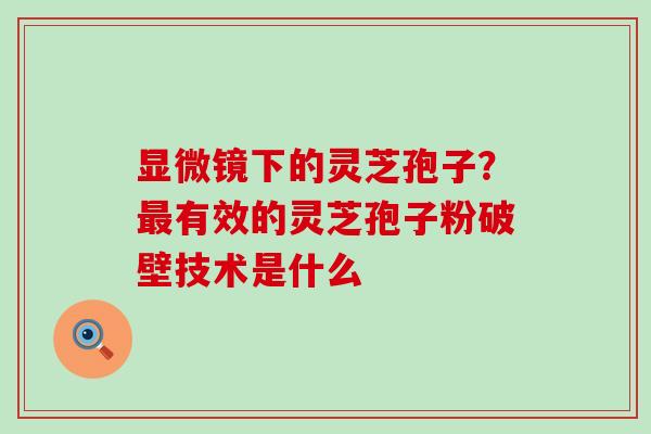 显微镜下的灵芝孢子？有效的灵芝孢子粉破壁技术是什么