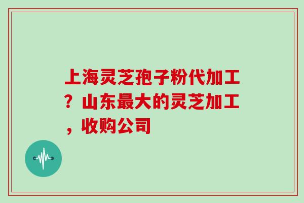 上海灵芝孢子粉代加工？山东大的灵芝加工，收购公司