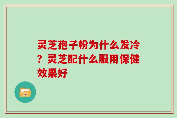 灵芝孢子粉为什么发冷？灵芝配什么服用保健效果好