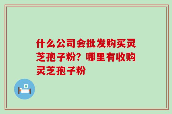 什么公司会批发购买灵芝孢子粉？哪里有收购灵芝孢子粉