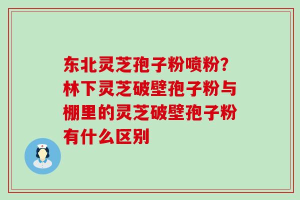 东北灵芝孢子粉喷粉？林下灵芝破壁孢子粉与棚里的灵芝破壁孢子粉有什么区别