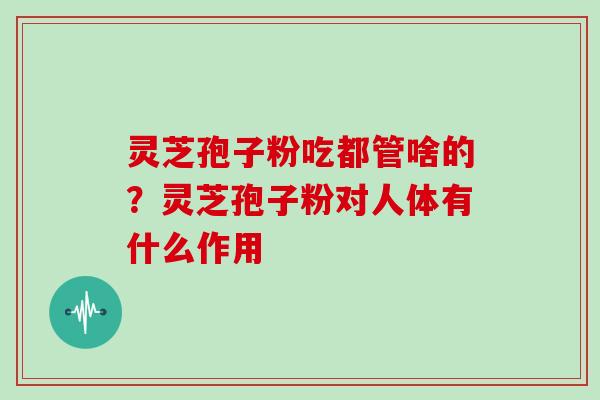 灵芝孢子粉吃都管啥的？灵芝孢子粉对人体有什么作用