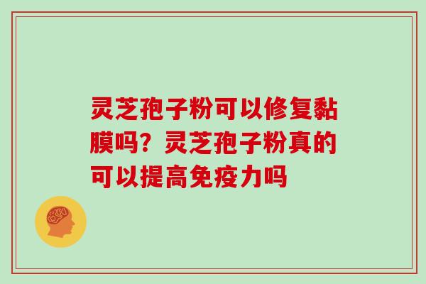 灵芝孢子粉可以修复黏膜吗？灵芝孢子粉真的可以提高免疫力吗