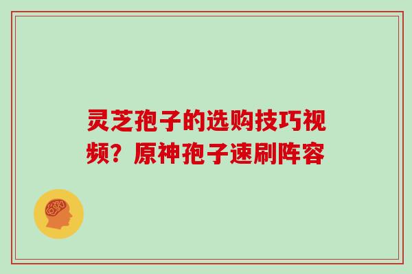 灵芝孢子的选购技巧视频？原神孢子速刷阵容