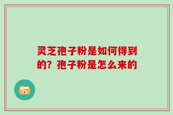 灵芝孢子粉是如何得到的？孢子粉是怎么来的