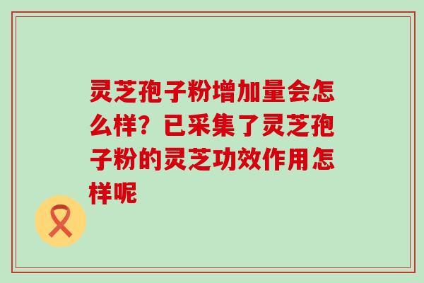 灵芝孢子粉增加量会怎么样？已采集了灵芝孢子粉的灵芝功效作用怎样呢