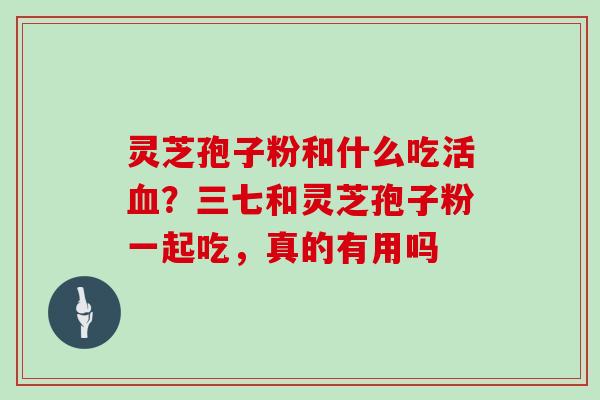 灵芝孢子粉和什么吃活？三七和灵芝孢子粉一起吃，真的有用吗