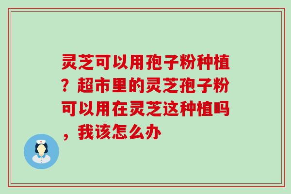 灵芝可以用孢子粉种植？超市里的灵芝孢子粉可以用在灵芝这种植吗，我该怎么办