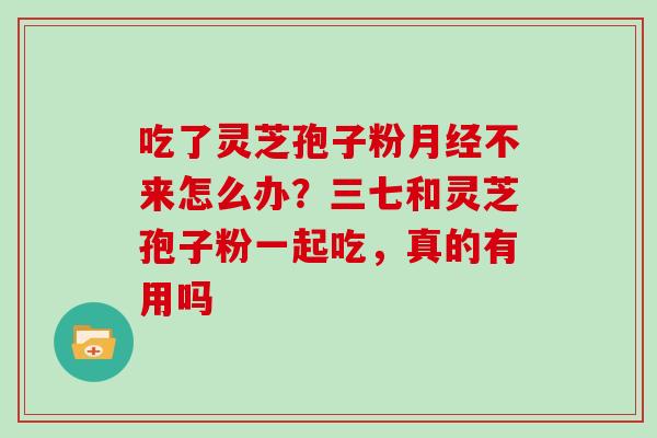 吃了灵芝孢子粉不来怎么办？三七和灵芝孢子粉一起吃，真的有用吗