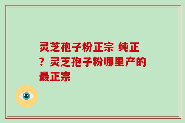 灵芝孢子粉正宗 纯正？灵芝孢子粉哪里产的正宗