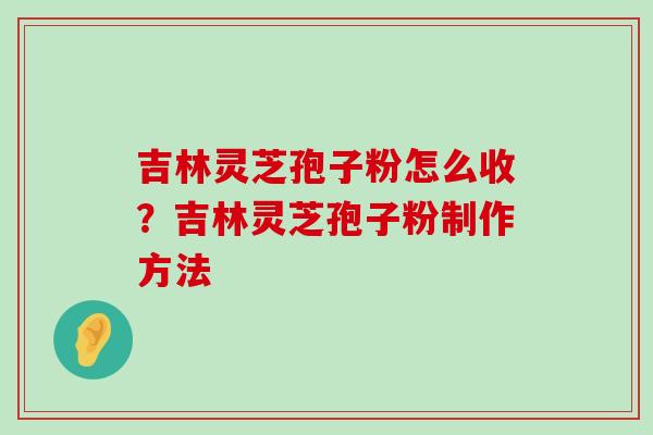 吉林灵芝孢子粉怎么收？吉林灵芝孢子粉制作方法