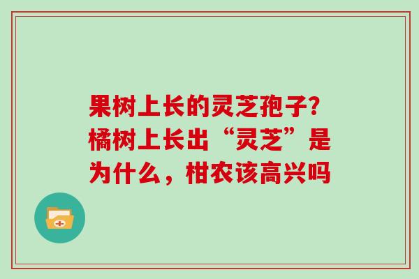 果树上长的灵芝孢子？橘树上长出“灵芝”是为什么，柑农该高兴吗