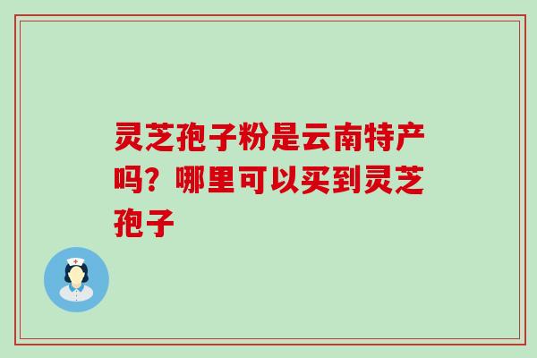 灵芝孢子粉是云南特产吗？哪里可以买到灵芝孢子