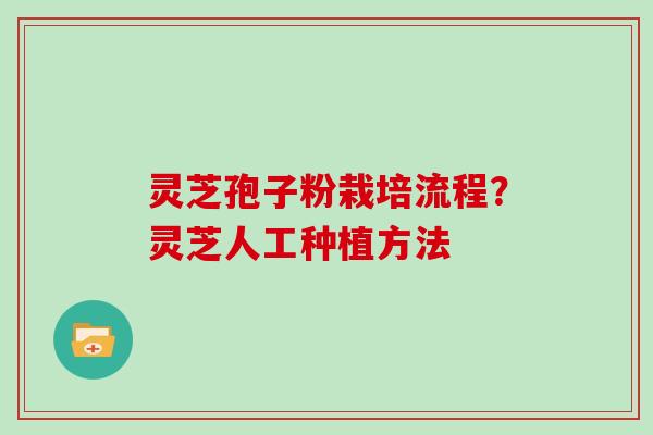 灵芝孢子粉栽培流程？灵芝人工种植方法