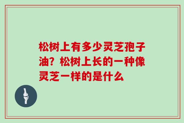 松树上有多少灵芝孢子油？松树上长的一种像灵芝一样的是什么