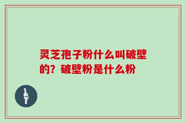 灵芝孢子粉什么叫破壁的？破壁粉是什么粉