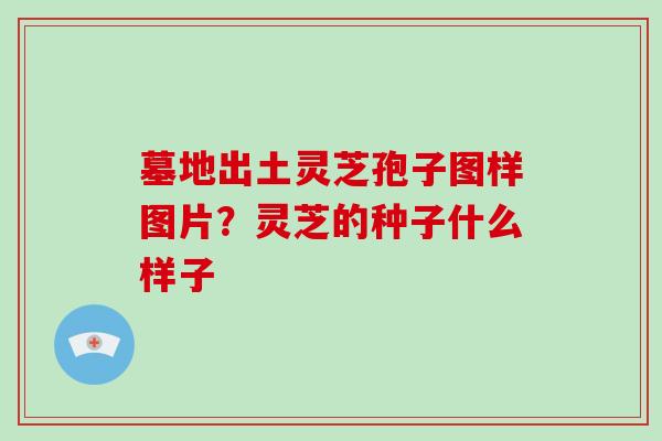 墓地出土灵芝孢子图样图片？灵芝的种子什么样子