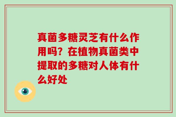 真菌多糖灵芝有什么作用吗？在植物真菌类中提取的多糖对人体有什么好处