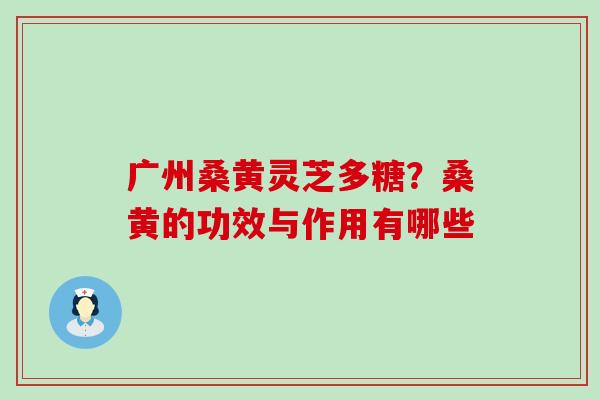 广州桑黄灵芝多糖？桑黄的功效与作用有哪些