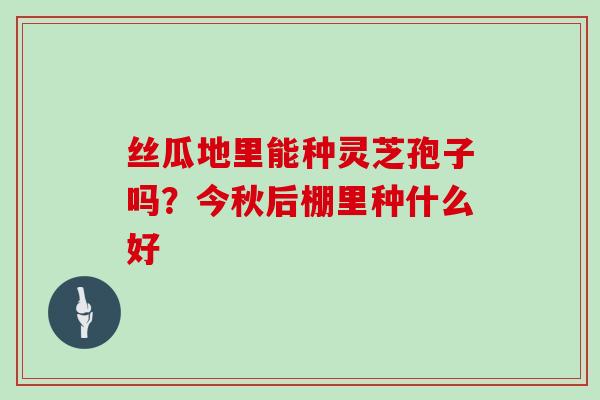 丝瓜地里能种灵芝孢子吗？今秋后棚里种什么好