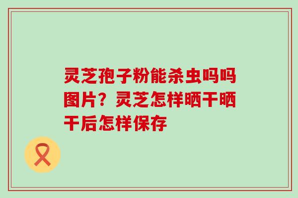 灵芝孢子粉能杀虫吗吗图片？灵芝怎样晒干晒干后怎样保存