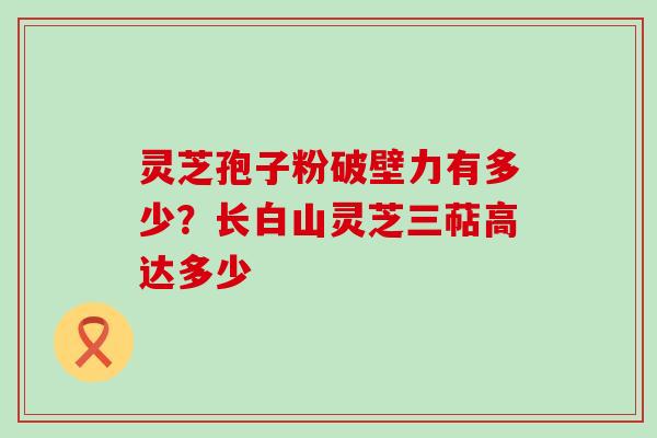 灵芝孢子粉破壁力有多少？长白山灵芝三萜高达多少