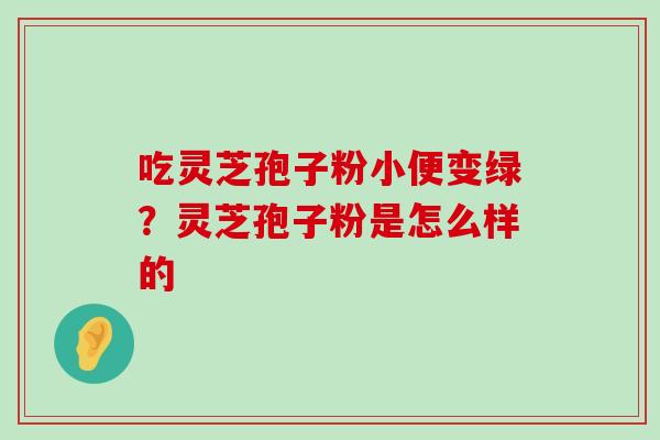 吃灵芝孢子粉小便变绿？灵芝孢子粉是怎么样的