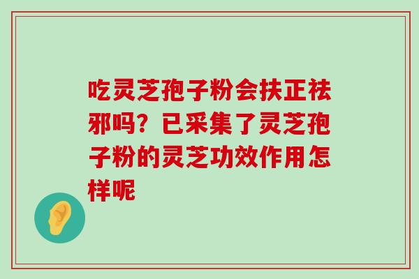 吃灵芝孢子粉会扶正祛邪吗？已采集了灵芝孢子粉的灵芝功效作用怎样呢