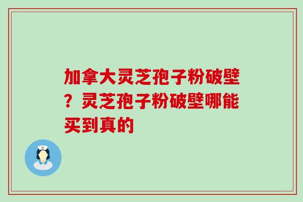 加拿大灵芝孢子粉破壁？灵芝孢子粉破壁哪能买到真的