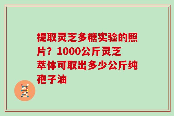 提取灵芝多糖实验的照片？1000公斤灵芝萃体可取出多少公斤纯孢子油