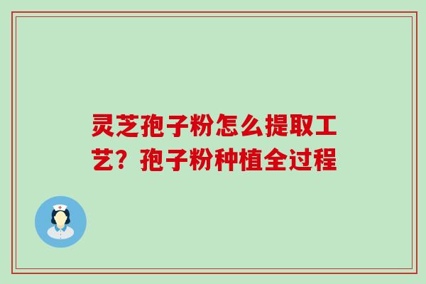 灵芝孢子粉怎么提取工艺？孢子粉种植全过程