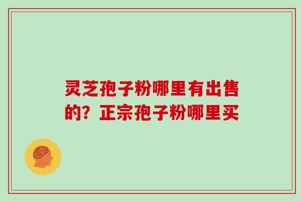 灵芝孢子粉哪里有出售的？正宗孢子粉哪里买