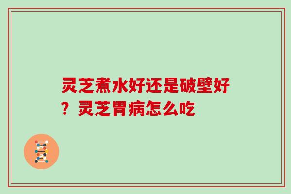 灵芝煮水好还是破壁好？灵芝胃怎么吃