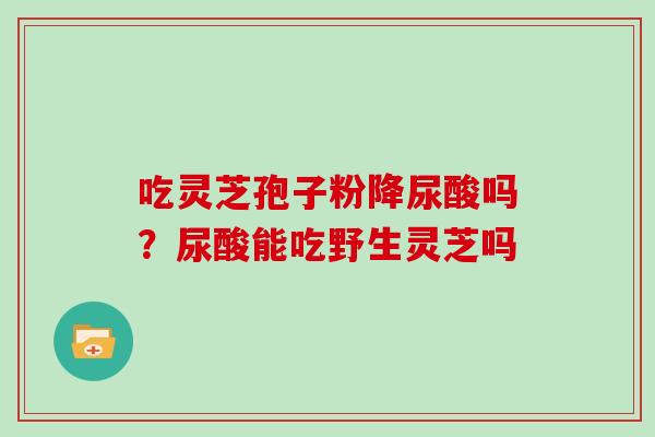 吃灵芝孢子粉降尿酸吗？尿酸能吃野生灵芝吗