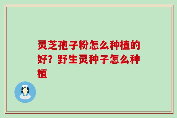 灵芝孢子粉怎么种植的好？野生灵种子怎么种植