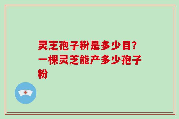 灵芝孢子粉是多少目？一棵灵芝能产多少孢子粉